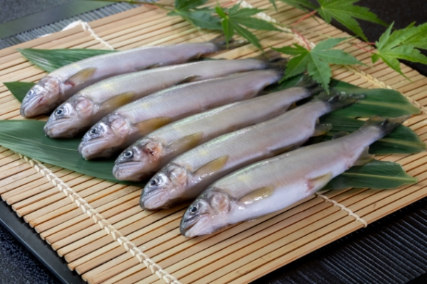 【季節の食材】