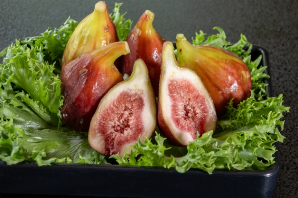 【季節の食材】